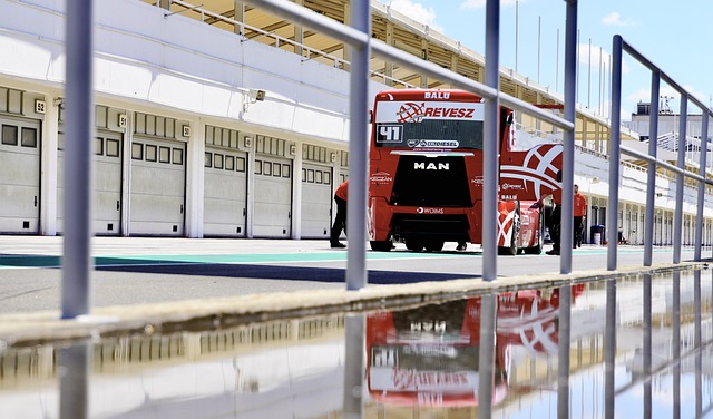 近年来在足 近年来在足