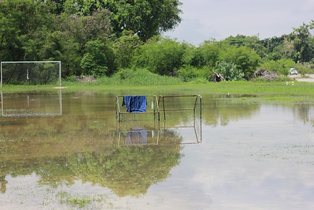 仅仅是简单 仅仅是简单
