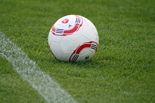 的可能性 的可能性