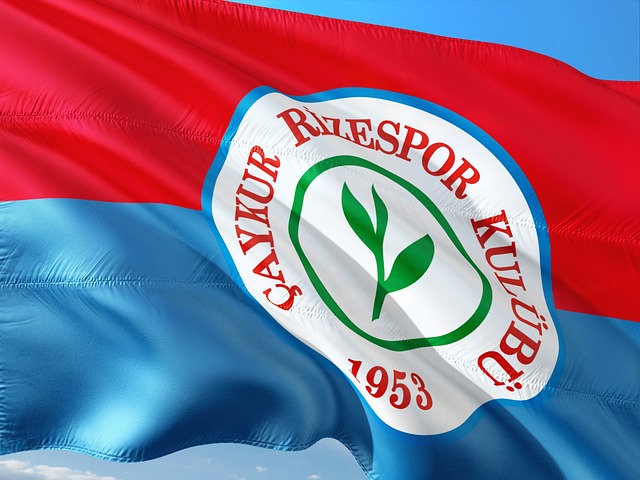 他们的比赛 他们的比赛