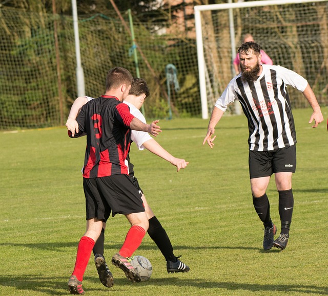 都展現了 都展現了