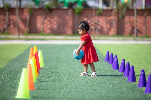 全面审视 全面审视