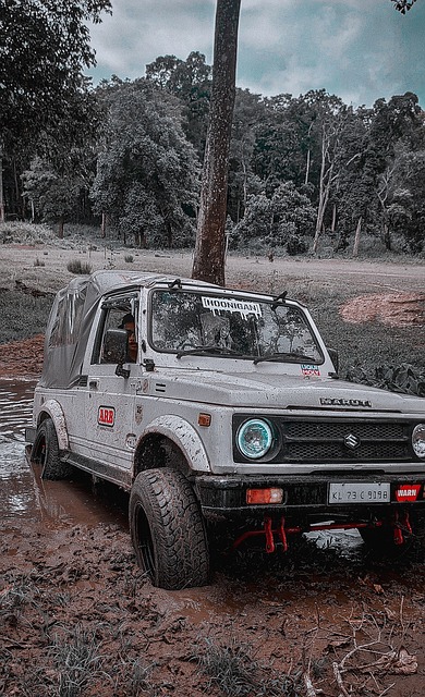 得分机会 得分机会