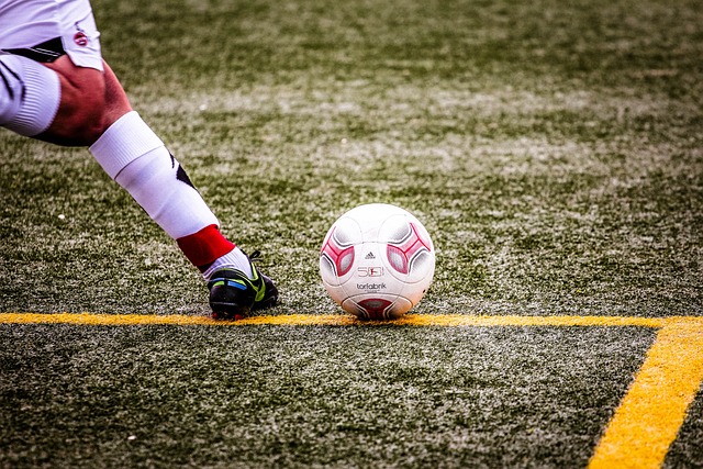 费德勒本人 费德勒本人