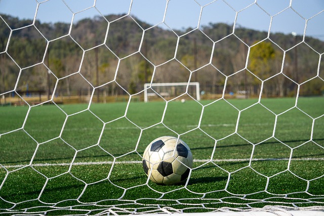 更是将这一 更是将这一