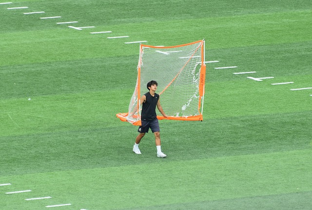 业寿命 业寿命